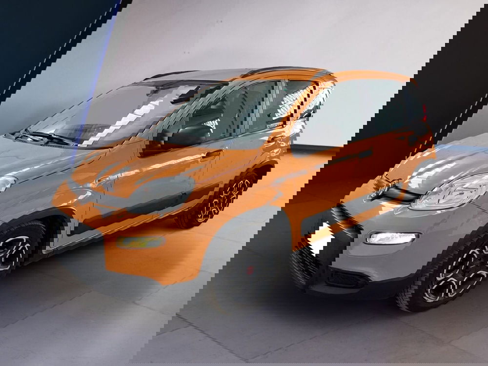 Fiat Panda usata a Torino (2)