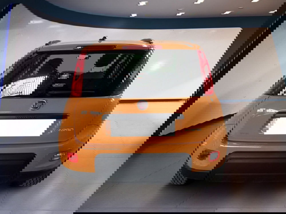 Fiat Panda usata a Torino (5)