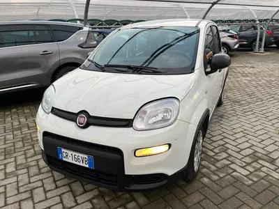 Fiat Panda Cross Cross 1.0 FireFly S&amp;S Hybrid del 2023 usata a Milano