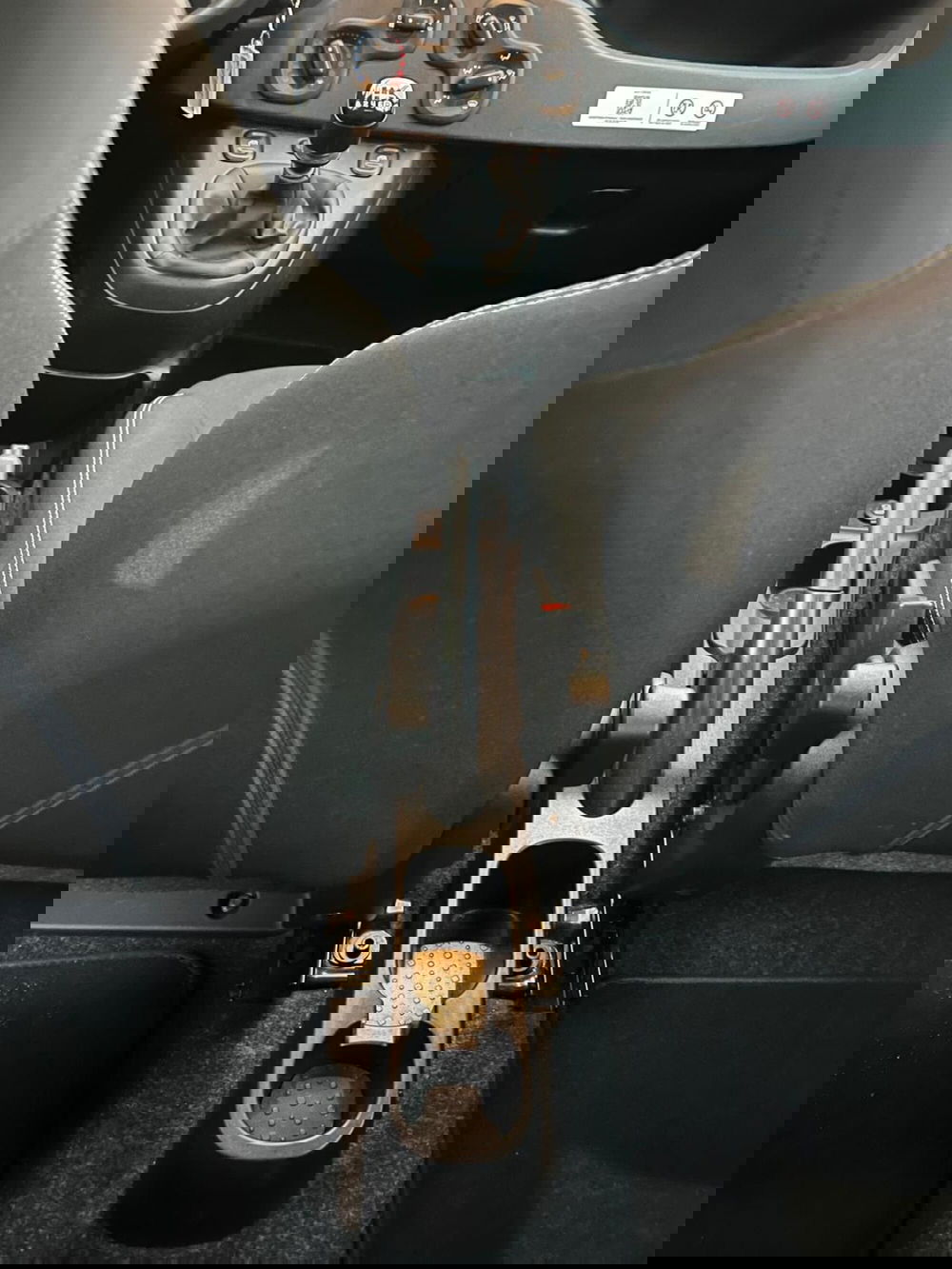 Fiat Panda Cross usata a Milano (19)