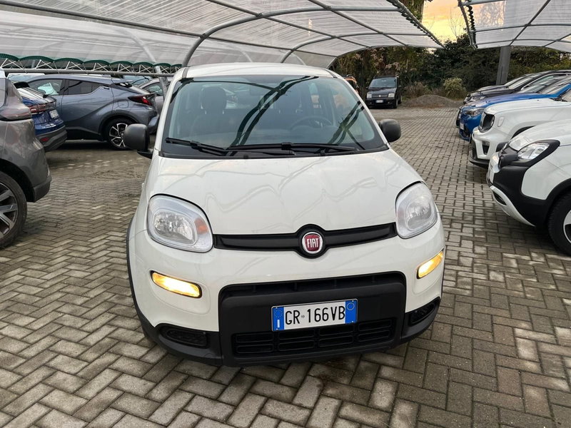 Fiat Panda Cross usata a Milano (2)