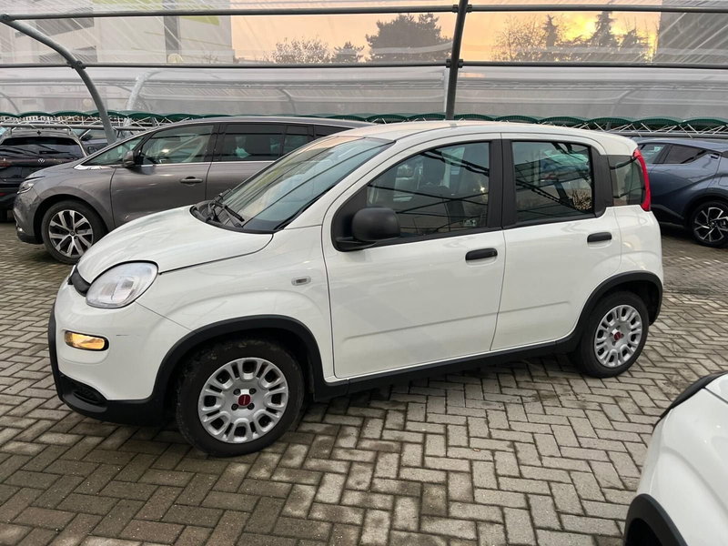 Fiat Panda Cross usata a Milano (4)