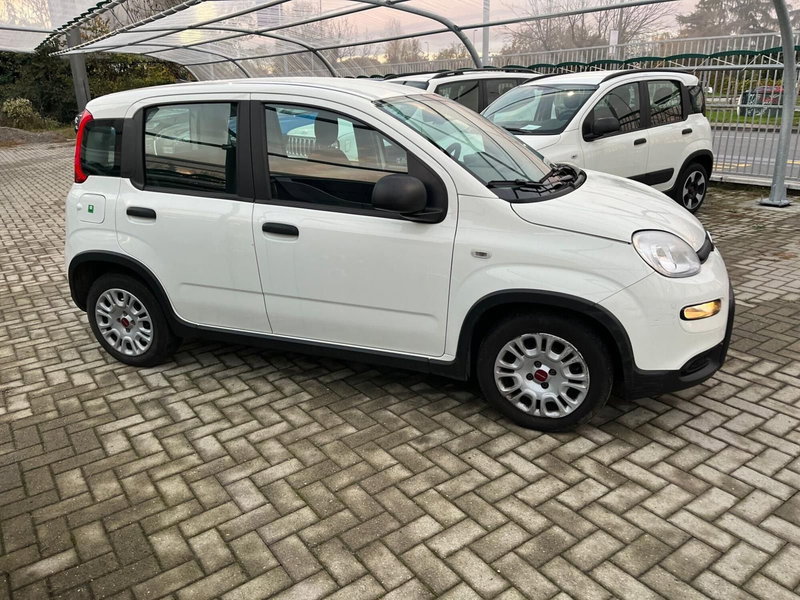 Fiat Panda Cross usata a Milano (5)