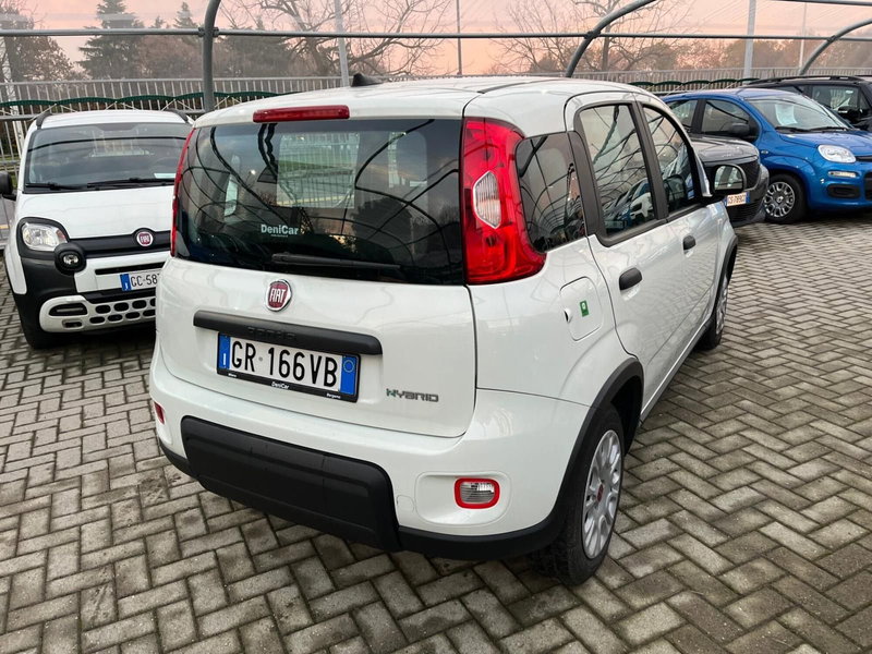 Fiat Panda Cross usata a Milano (7)