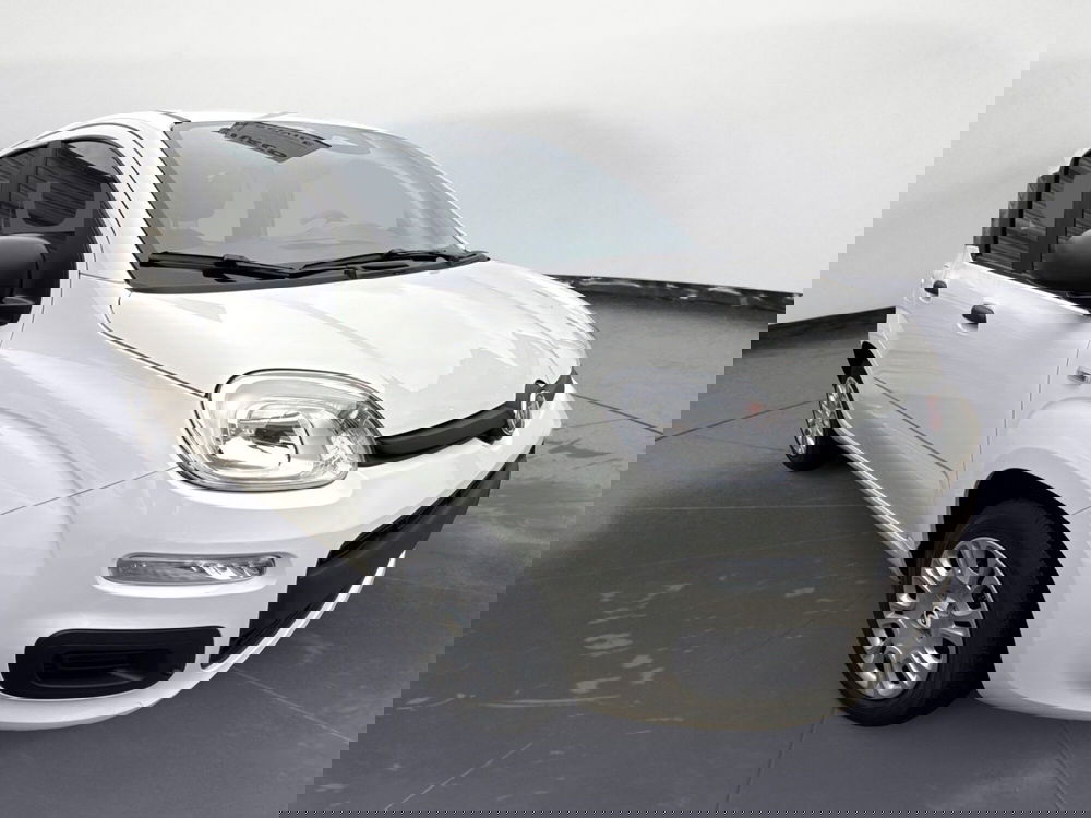 Fiat Panda nuova a Agrigento (8)