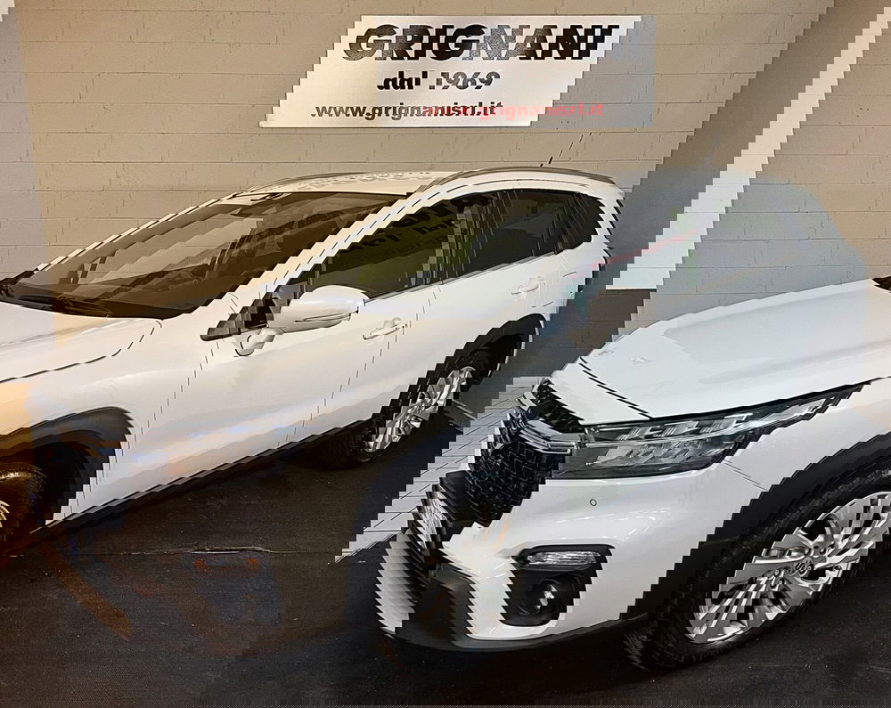 Suzuki S-Cross usata a Pavia (18)