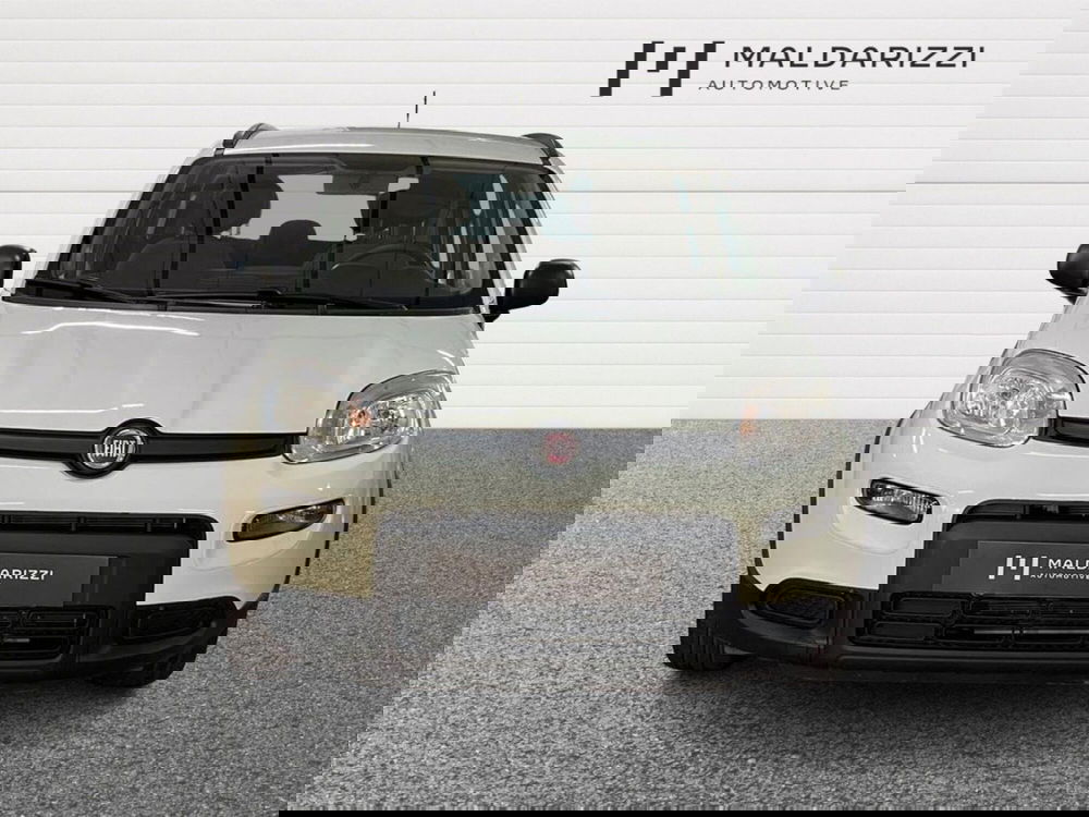 Fiat Panda usata a Bari (2)