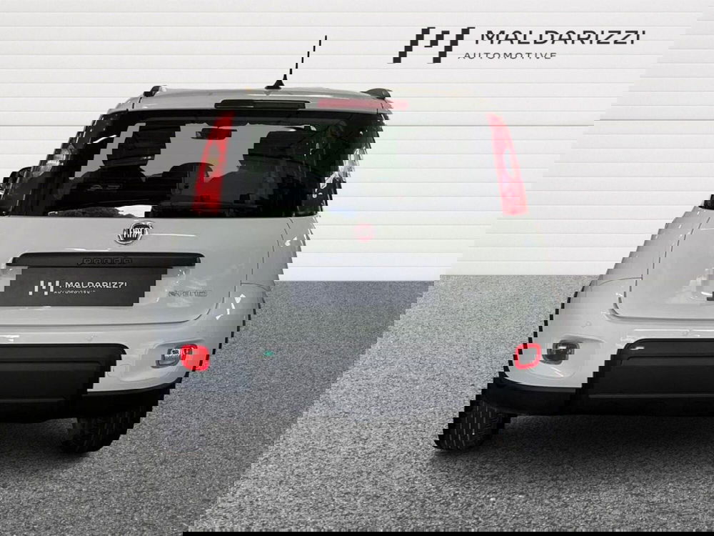 Fiat Panda usata a Bari (3)