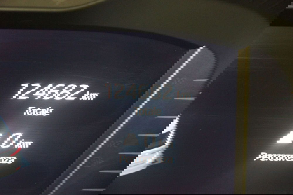 Skoda Octavia Station Wagon usata a Torino (12)