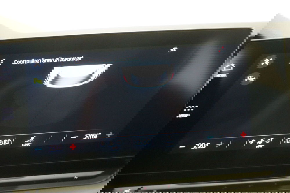 Skoda Octavia Station Wagon usata a Torino (17)