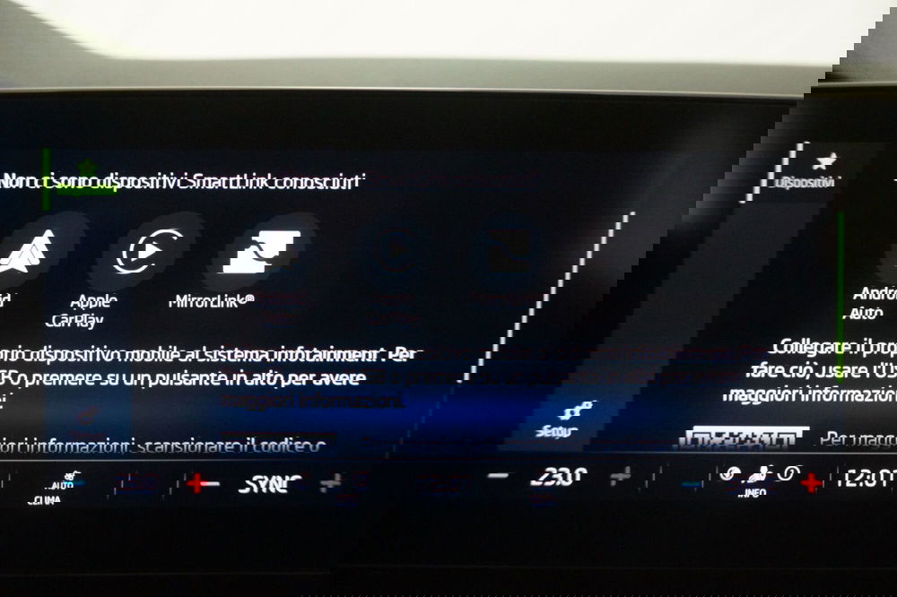 Skoda Octavia Station Wagon usata a Torino (18)