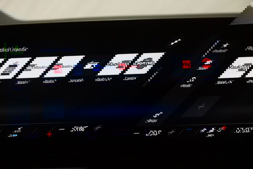 Skoda Octavia Station Wagon usata a Torino (20)