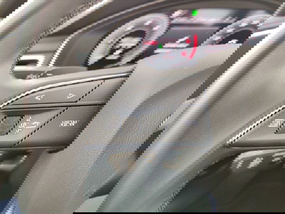 Audi A4 Avant usata a Massa-Carrara (14)