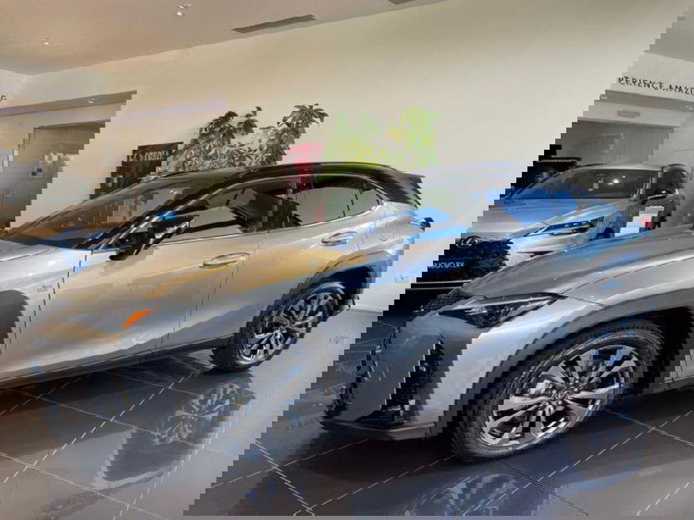 Lexus UX nuova a Perugia (4)