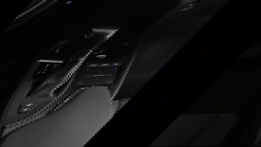 Lexus UX usata a Palermo (16)