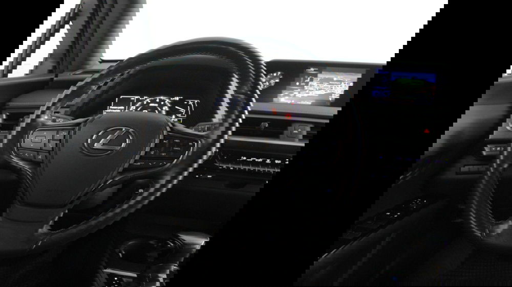 Lexus UX usata a Palermo (9)