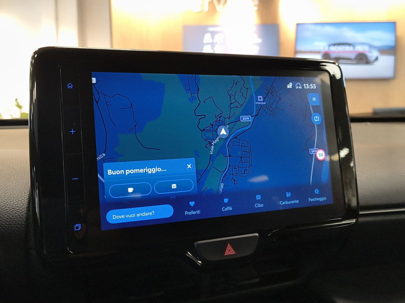 Toyota Yaris Cross usata a Catanzaro (19)