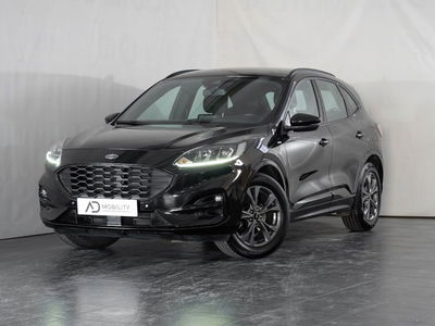 Ford Kuga 2.0 EcoBlue 120 CV aut. 2WD ST-Line X del 2022 usata a San Severo