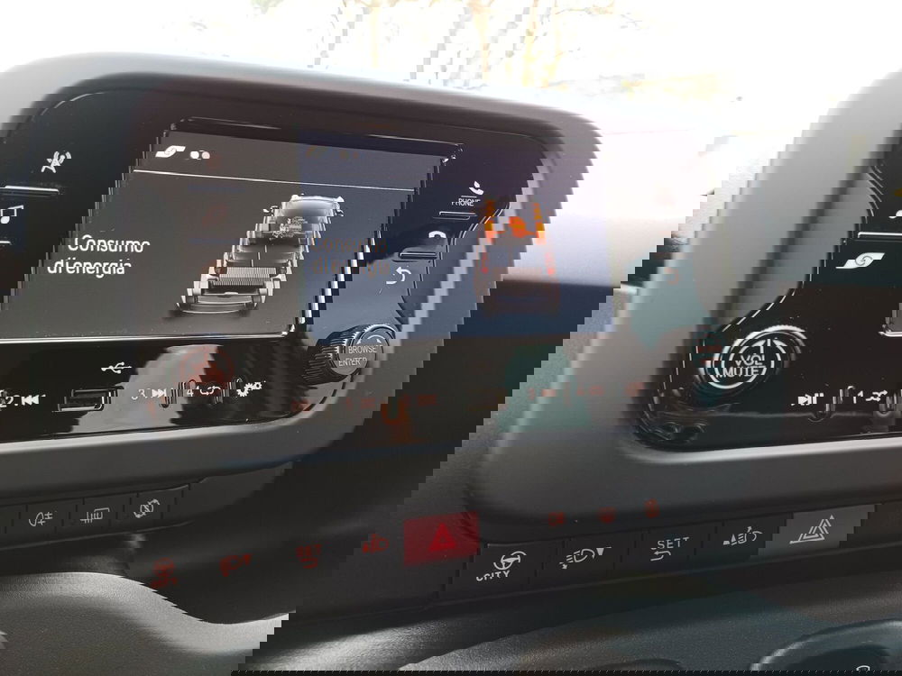 Fiat Panda Cross usata a Modena (11)