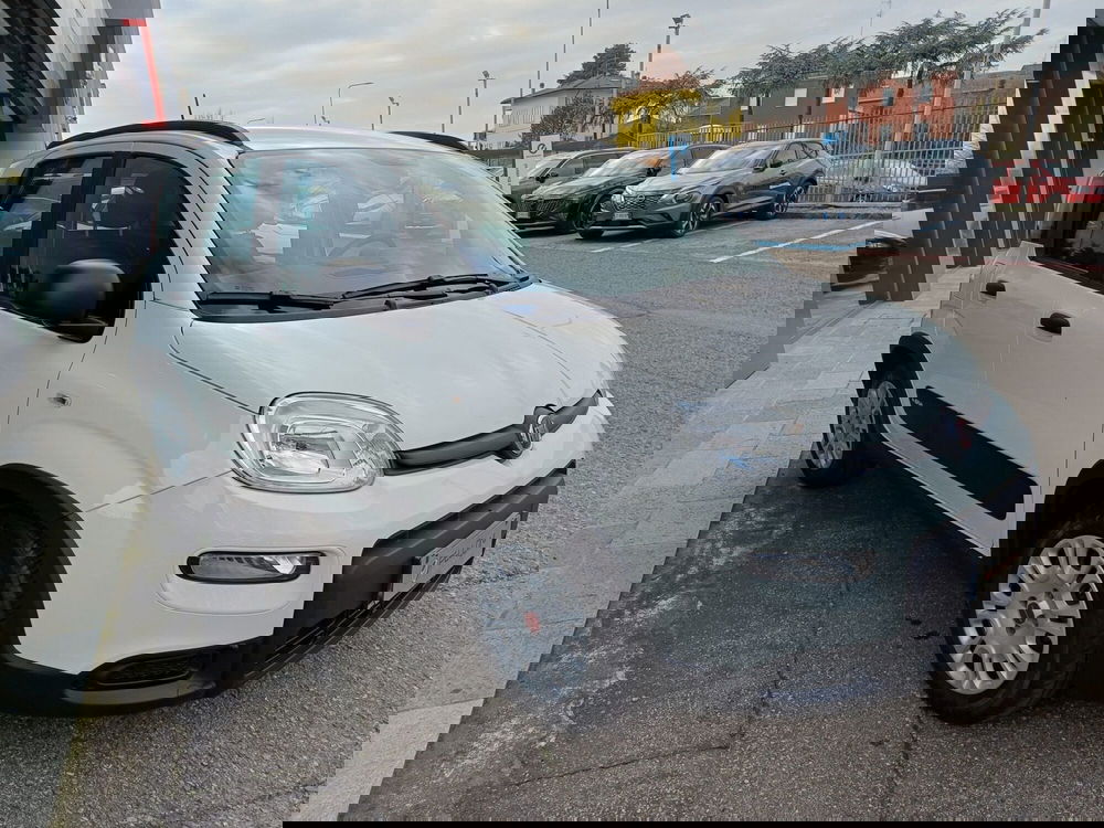 Fiat Panda Cross usata a Modena (4)