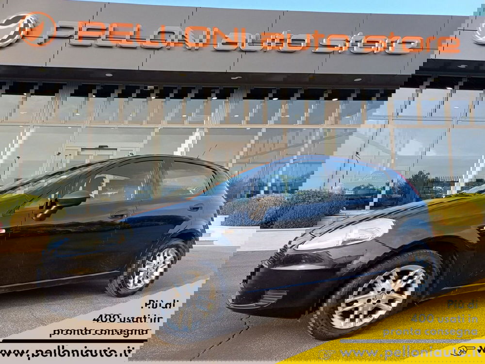 Fiat Punto usata a Modena