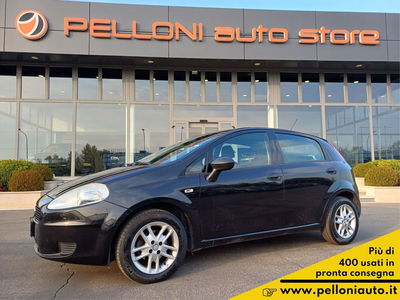 Fiat Punto 1.3 MJT II 75 CV 5 porte Easy del 2013 usata a Modena