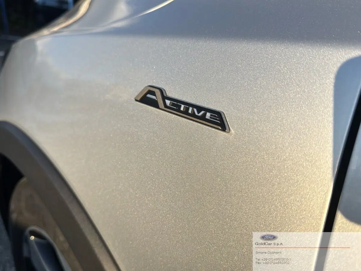 Ford Focus Station Wagon usata a Torino (19)