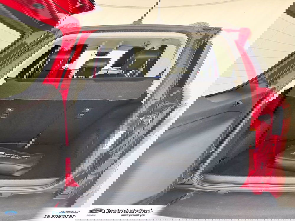 Ford EcoSport usata a Roma (11)