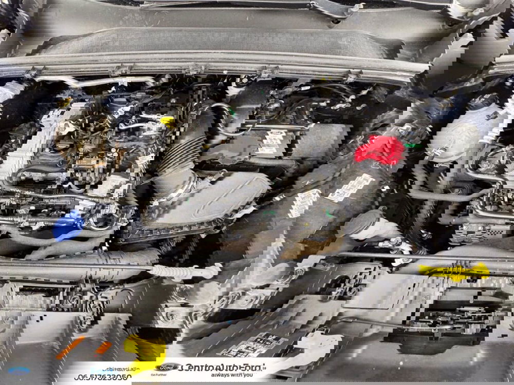 Ford Puma usata a Roma (12)