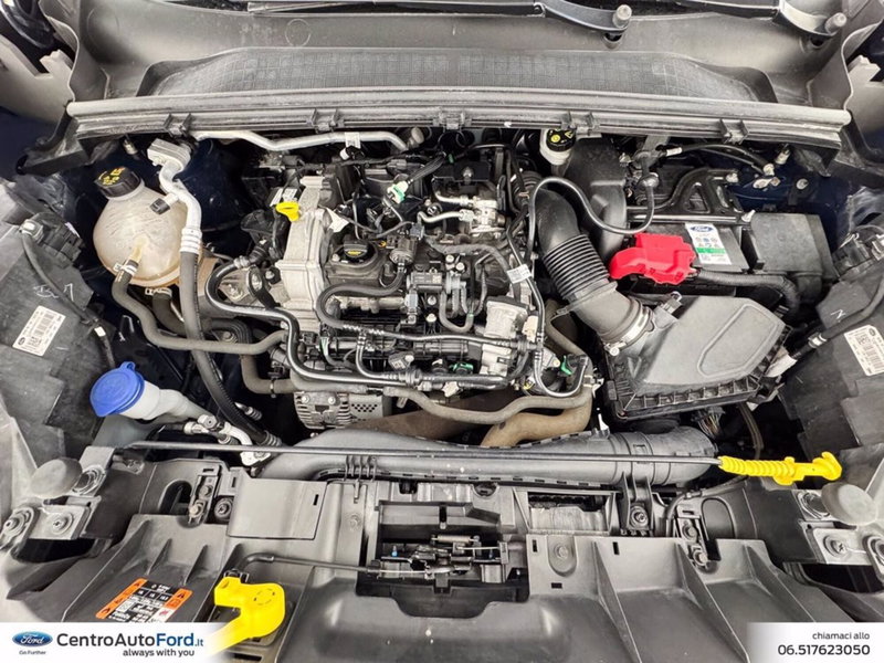 Ford Puma usata a Roma (12)