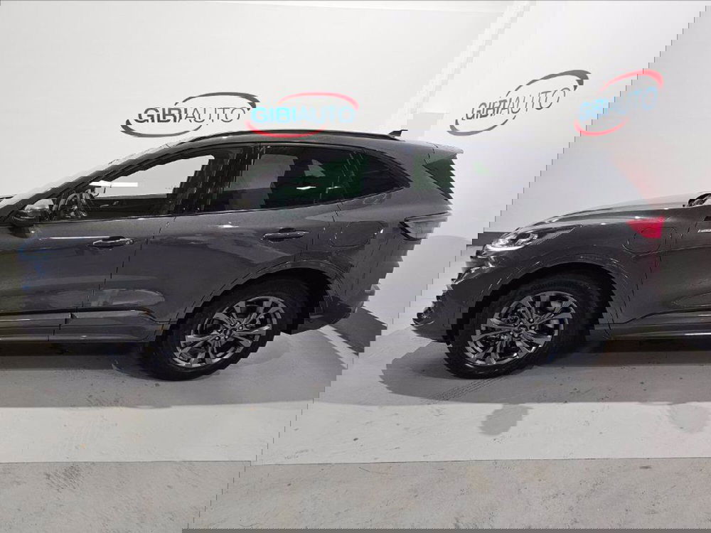 Ford Kuga usata a Palermo (4)