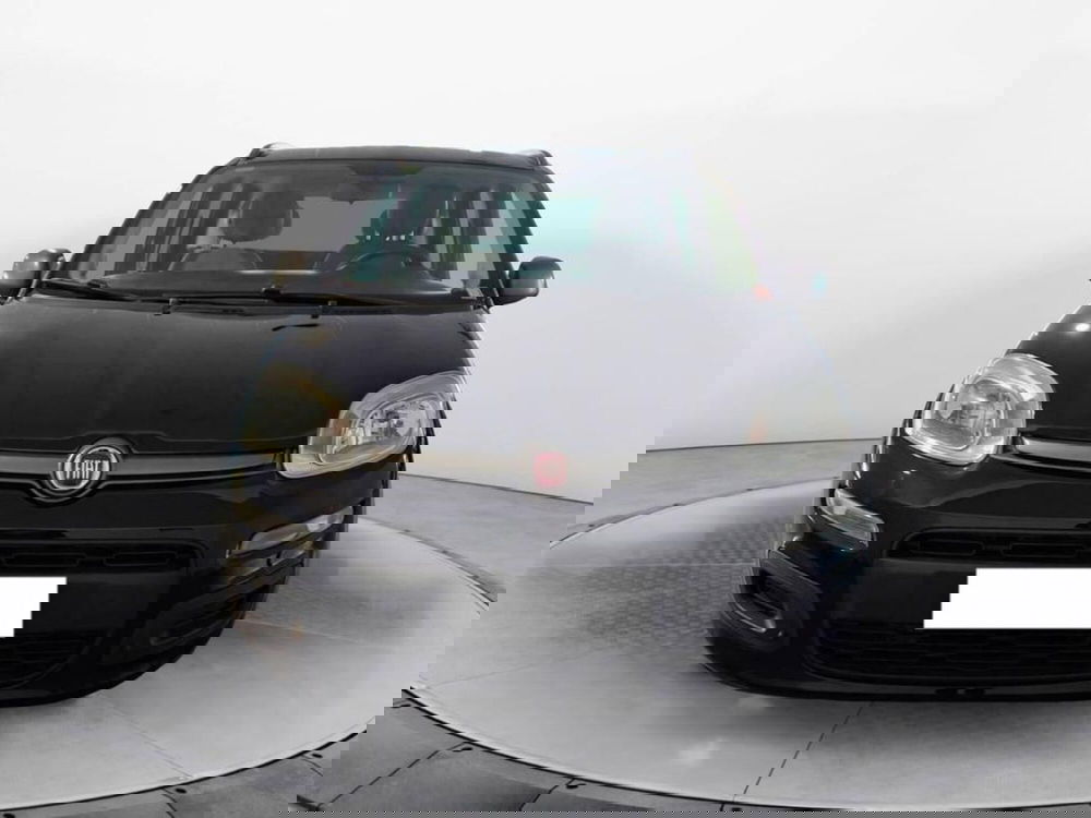 Fiat Panda usata a Torino (2)