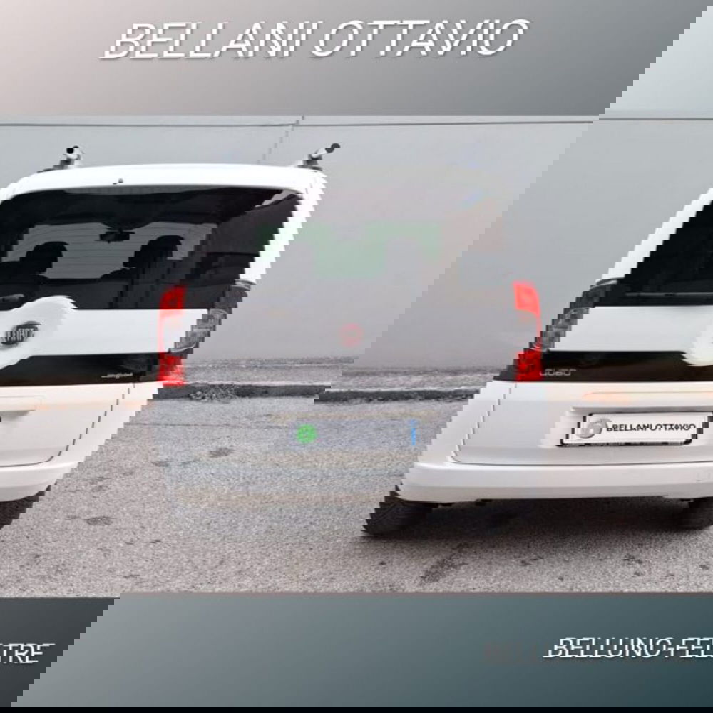 Fiat Fiorino usata a Belluno (7)