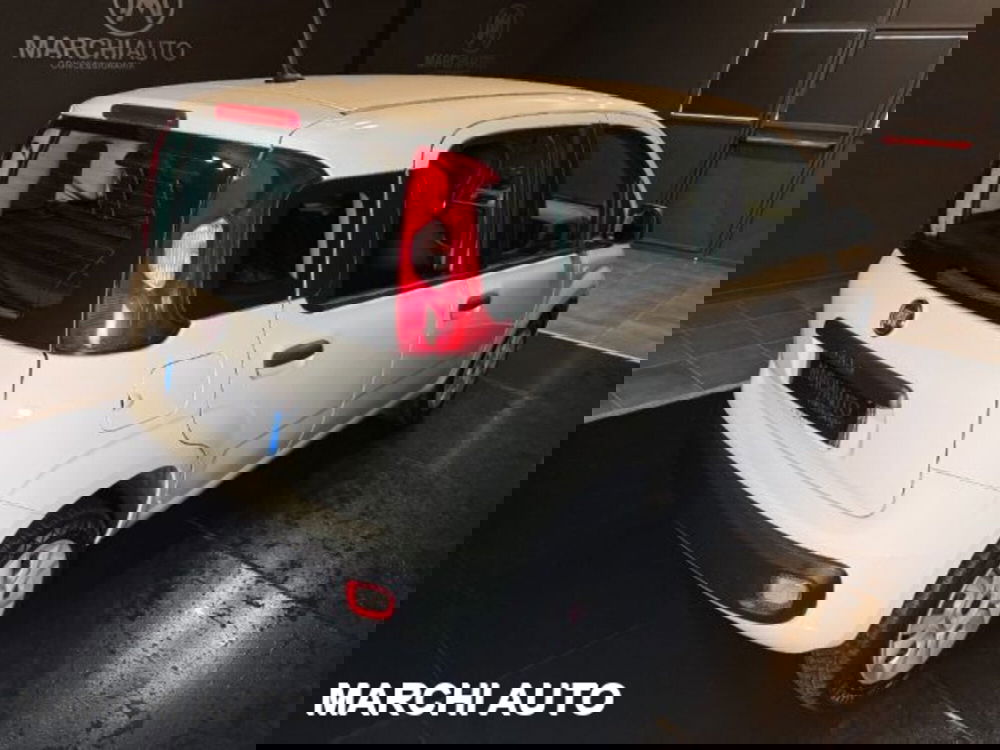 Fiat Panda usata a Perugia (5)