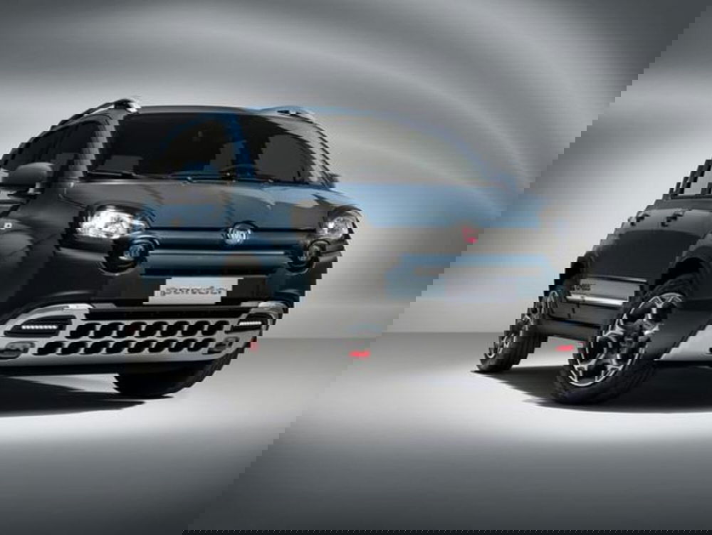 Fiat Panda Cross usata a Verona