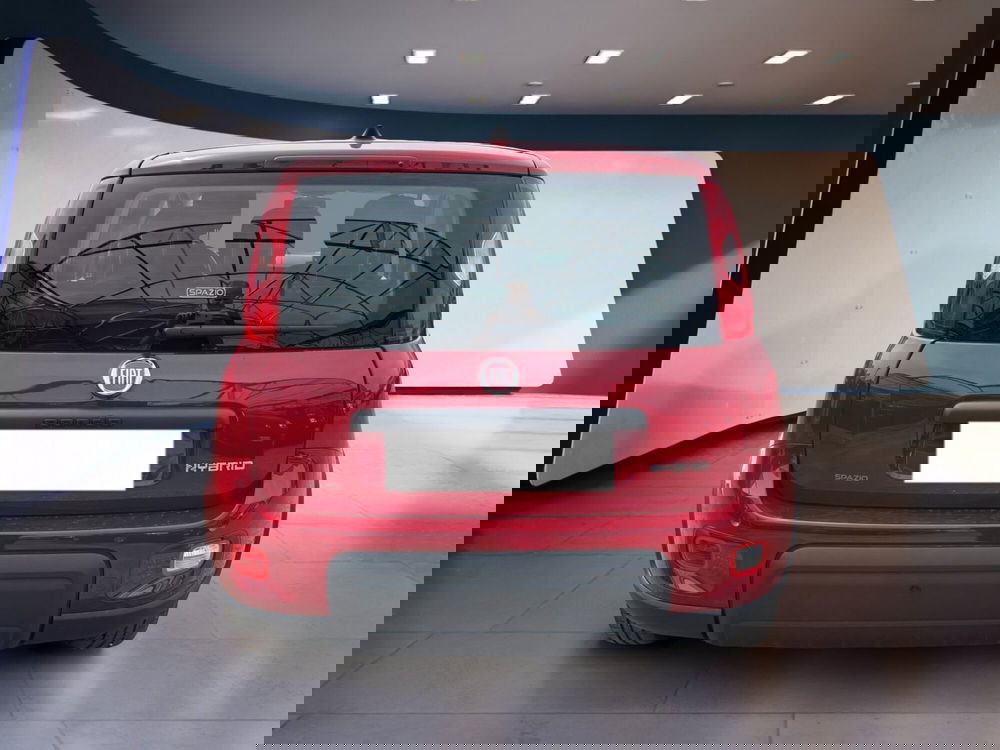 Fiat Panda usata a Torino (6)