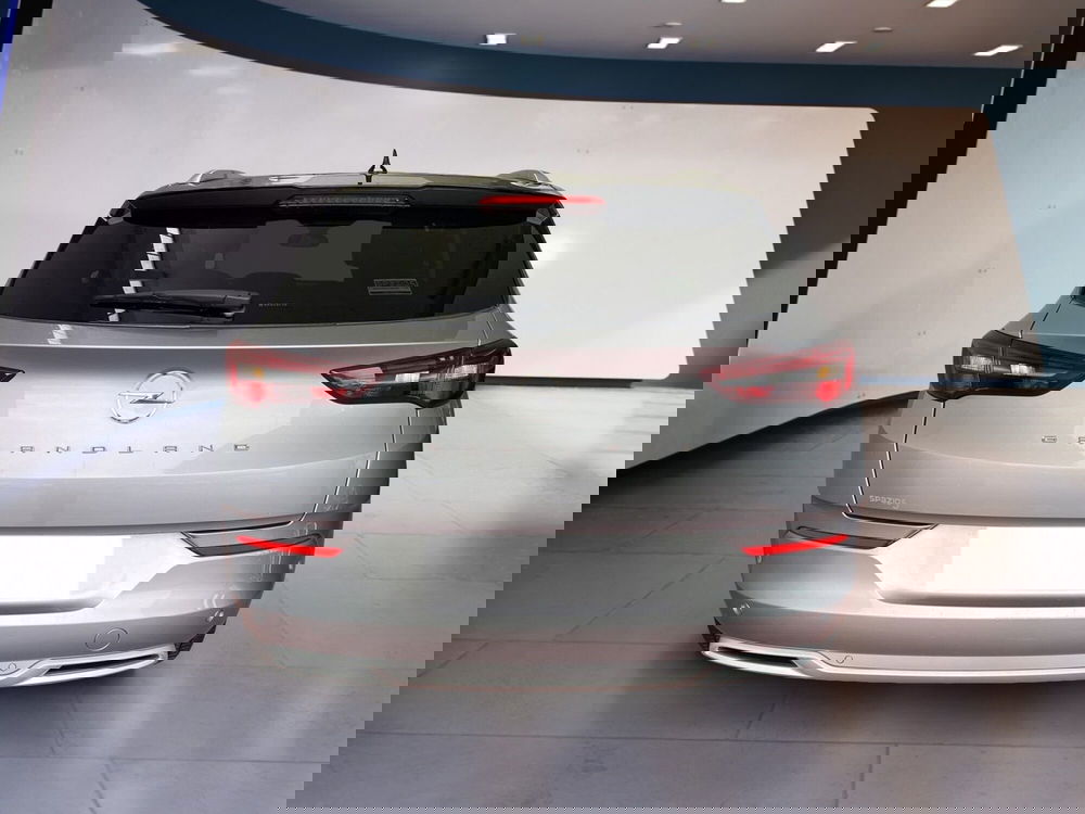 Opel Grandland usata a Torino (6)