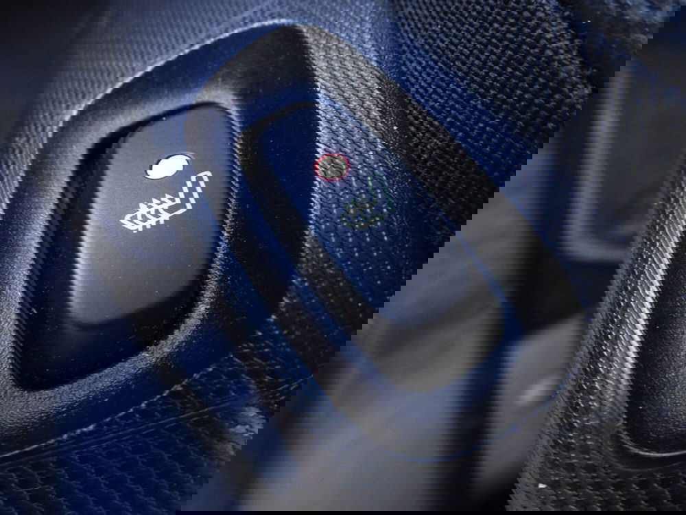 smart Fortwo usata a Treviso (11)