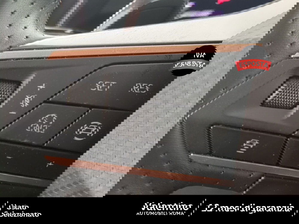 Cupra Formentor usata a Roma (19)