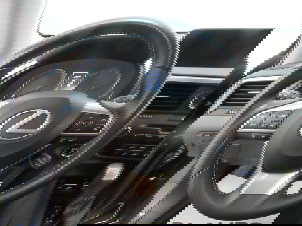 Lexus RX usata a Firenze (11)