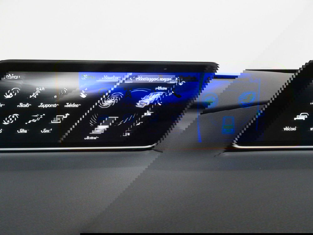 Lexus RX usata a Firenze (13)