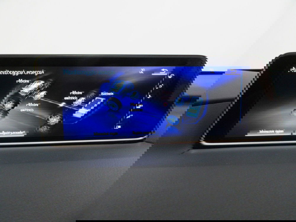 Lexus RX usata a Firenze (16)