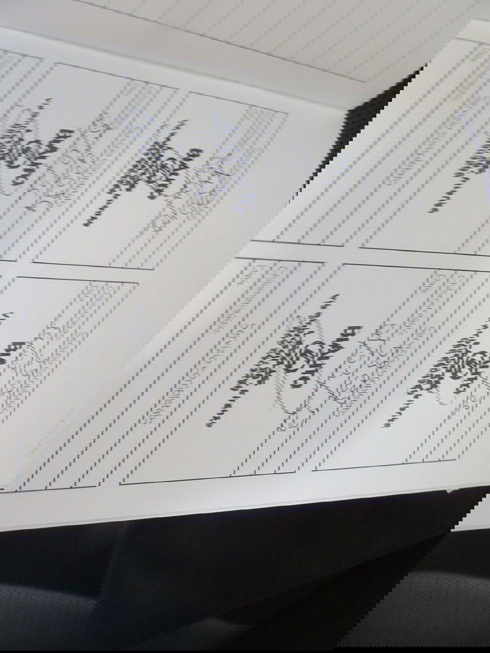 Lexus RX usata a Firenze (18)