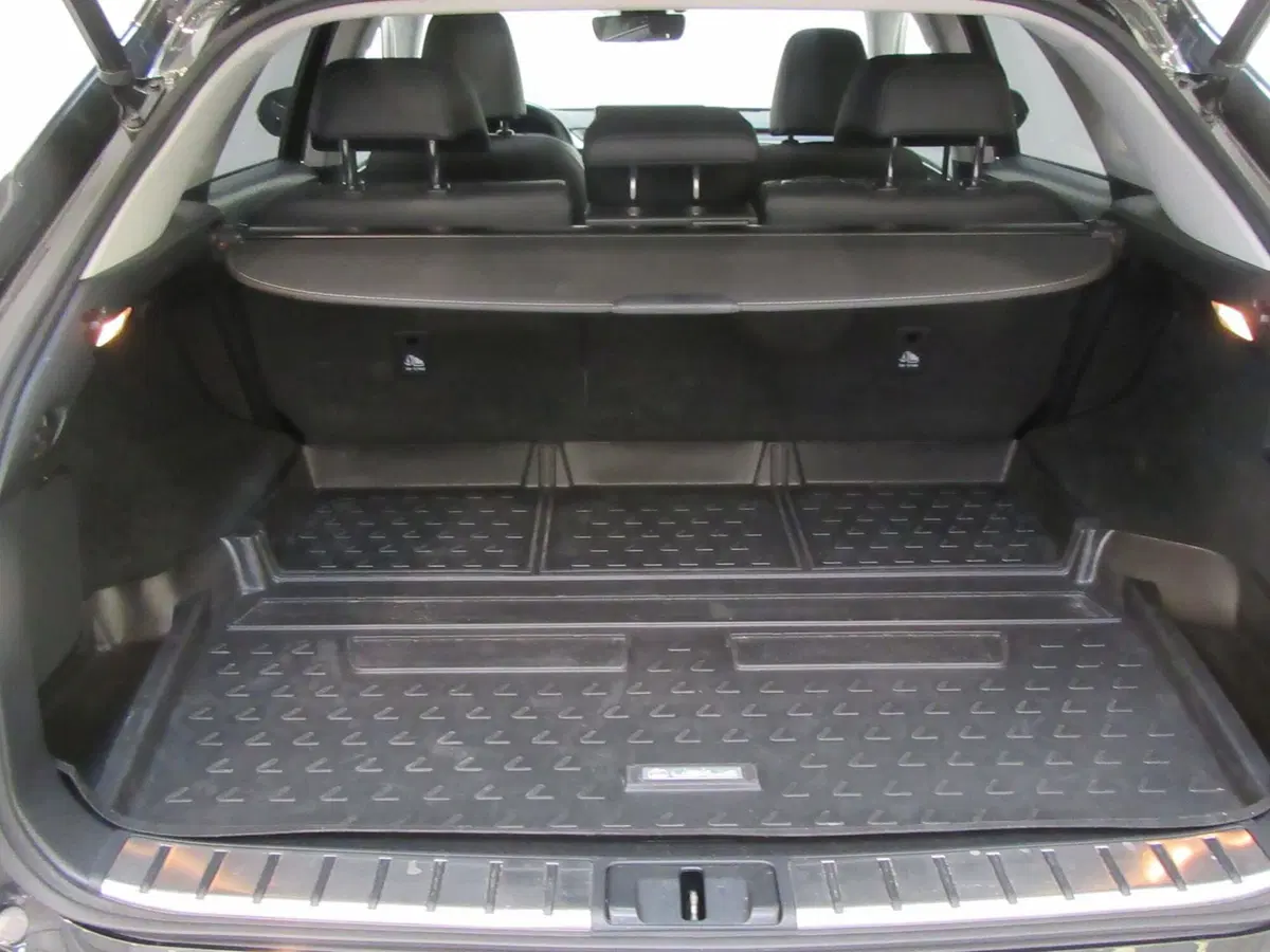Lexus RX usata a Firenze (5)