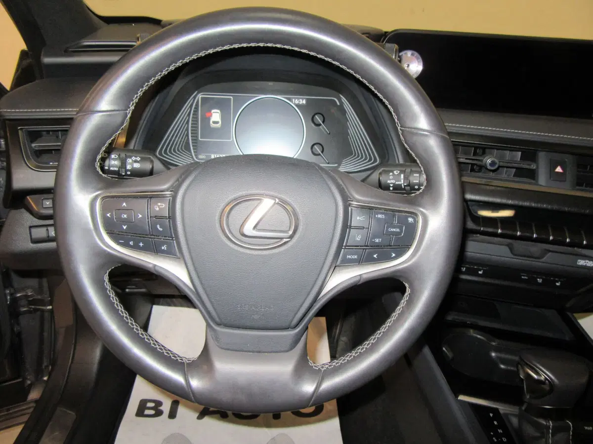 Lexus UX usata a Firenze (11)