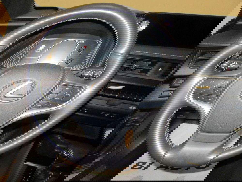 Lexus UX usata a Firenze (11)