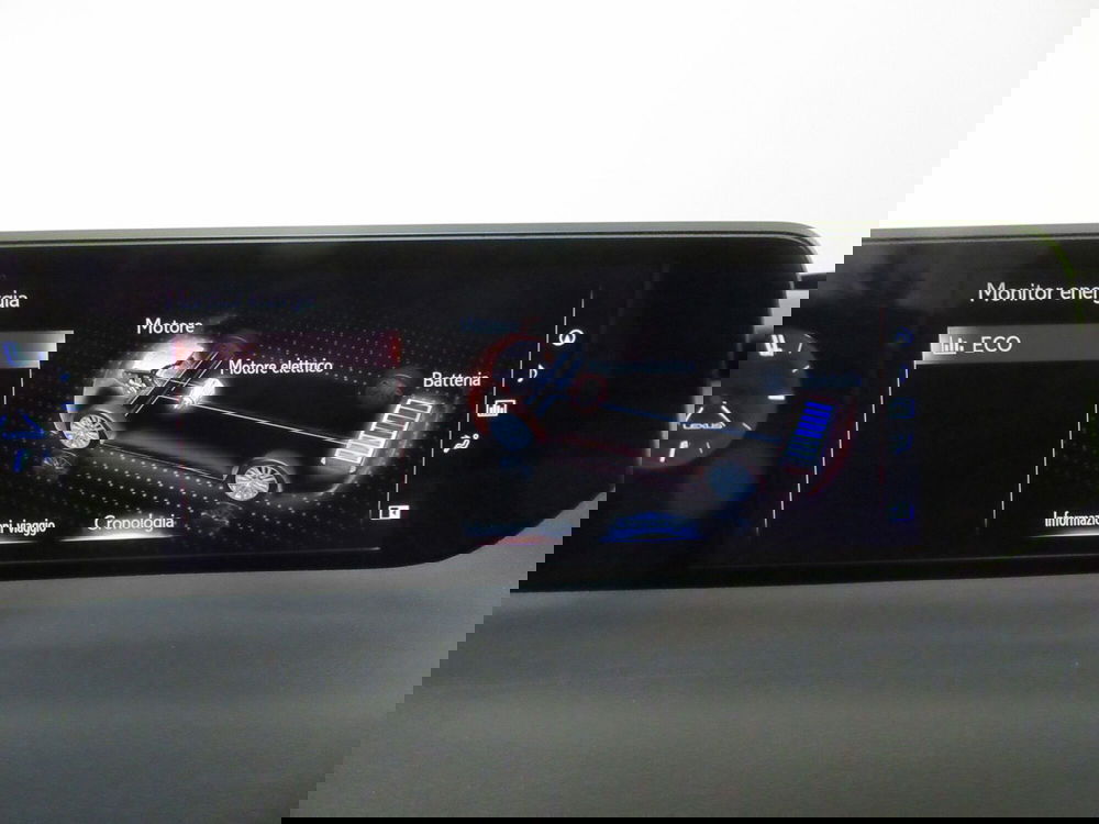 Lexus UX usata a Firenze (16)