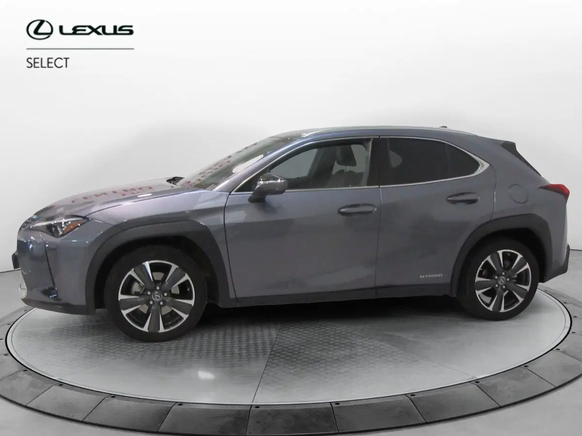 Lexus UX usata a Firenze (2)