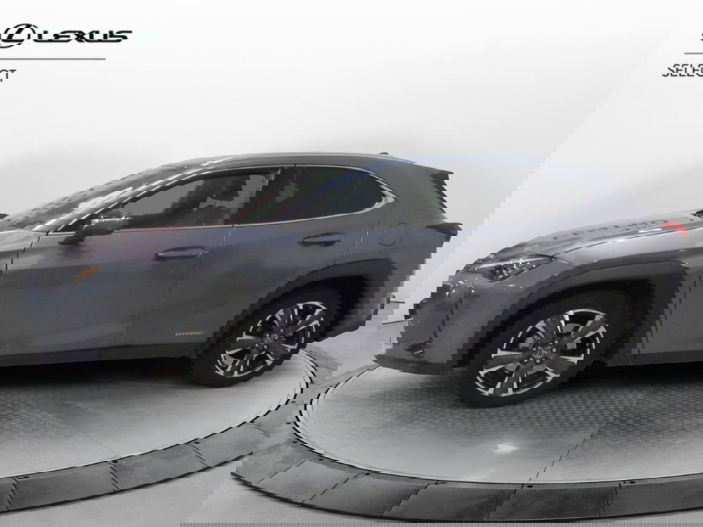 Lexus UX usata a Firenze (2)