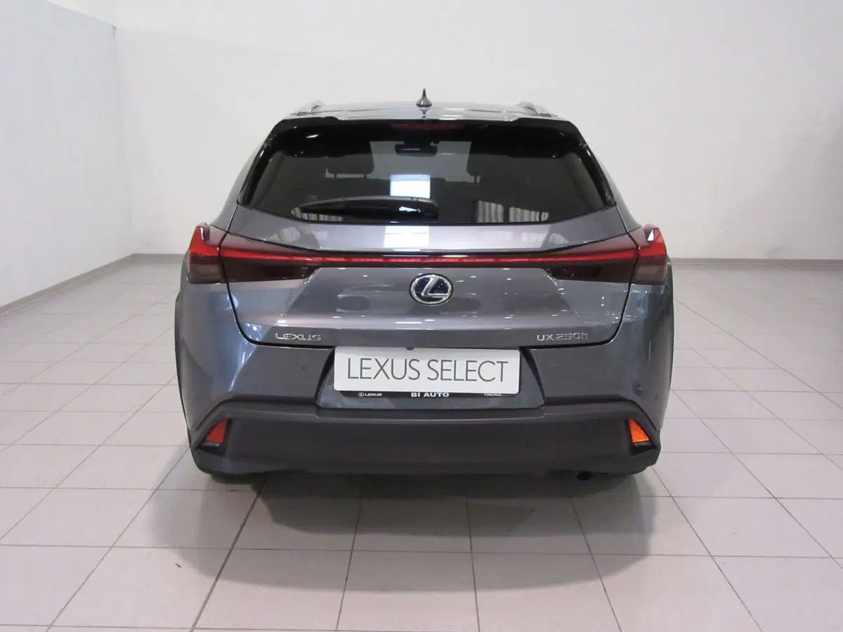 Lexus UX usata a Firenze (3)
